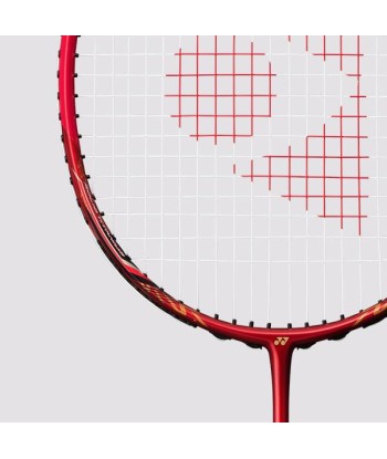 Yonex Nanoray 95 DX-3U5 (Red) Strung (Nanogy99-26lbs) livraison gratuite