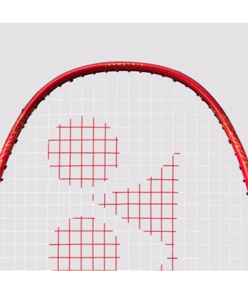 Yonex Nanoray 95 DX-3U5 (Red) Strung (Nanogy99-26lbs) livraison gratuite